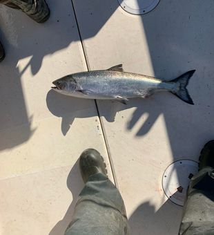 Nanaimo Charter Fishing